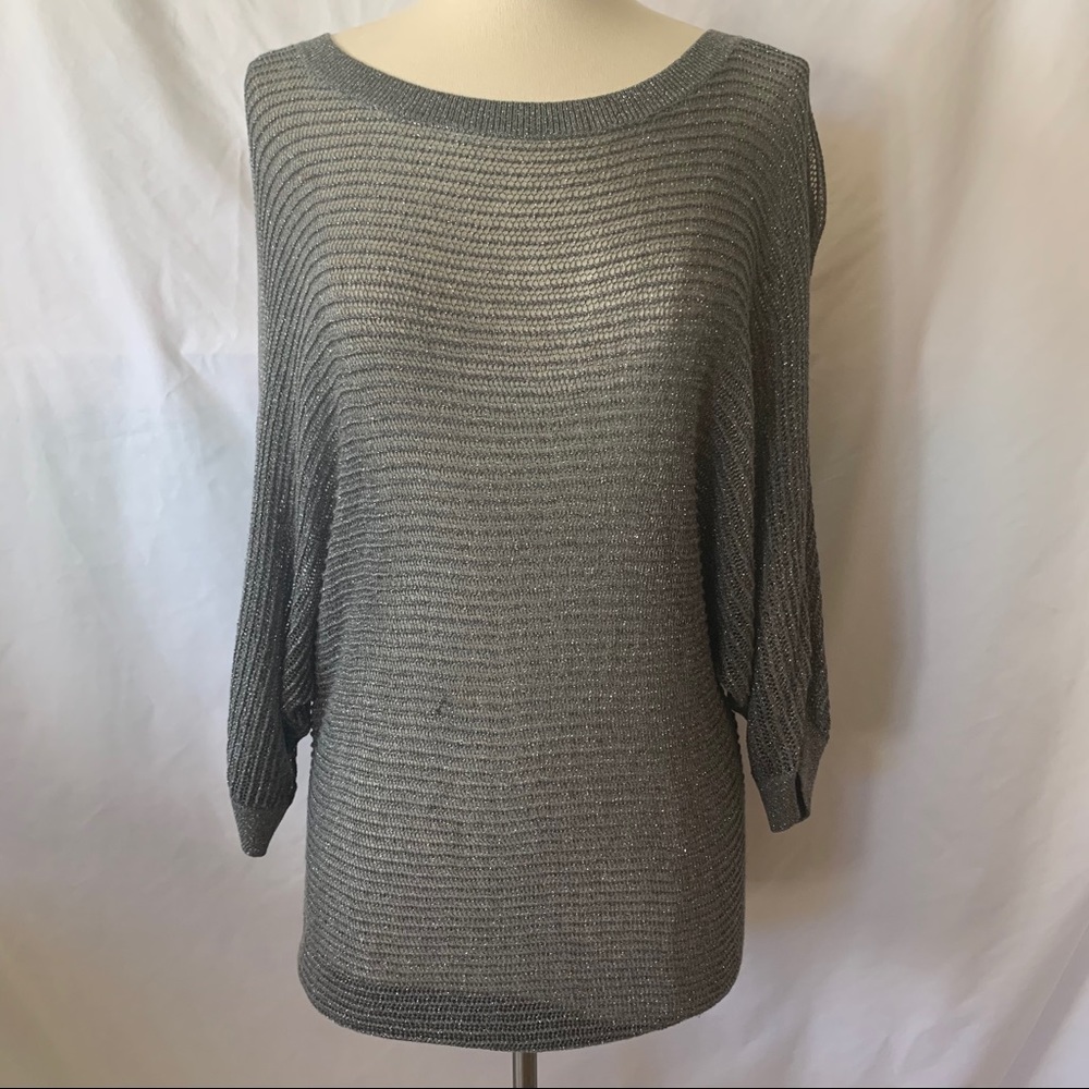 Express Shimmer Doleman Top